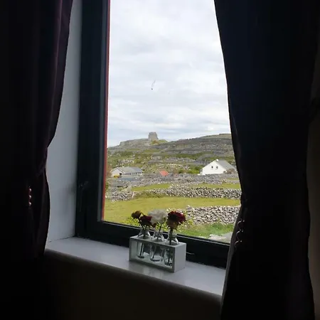 At An Moinear Inis Oírr